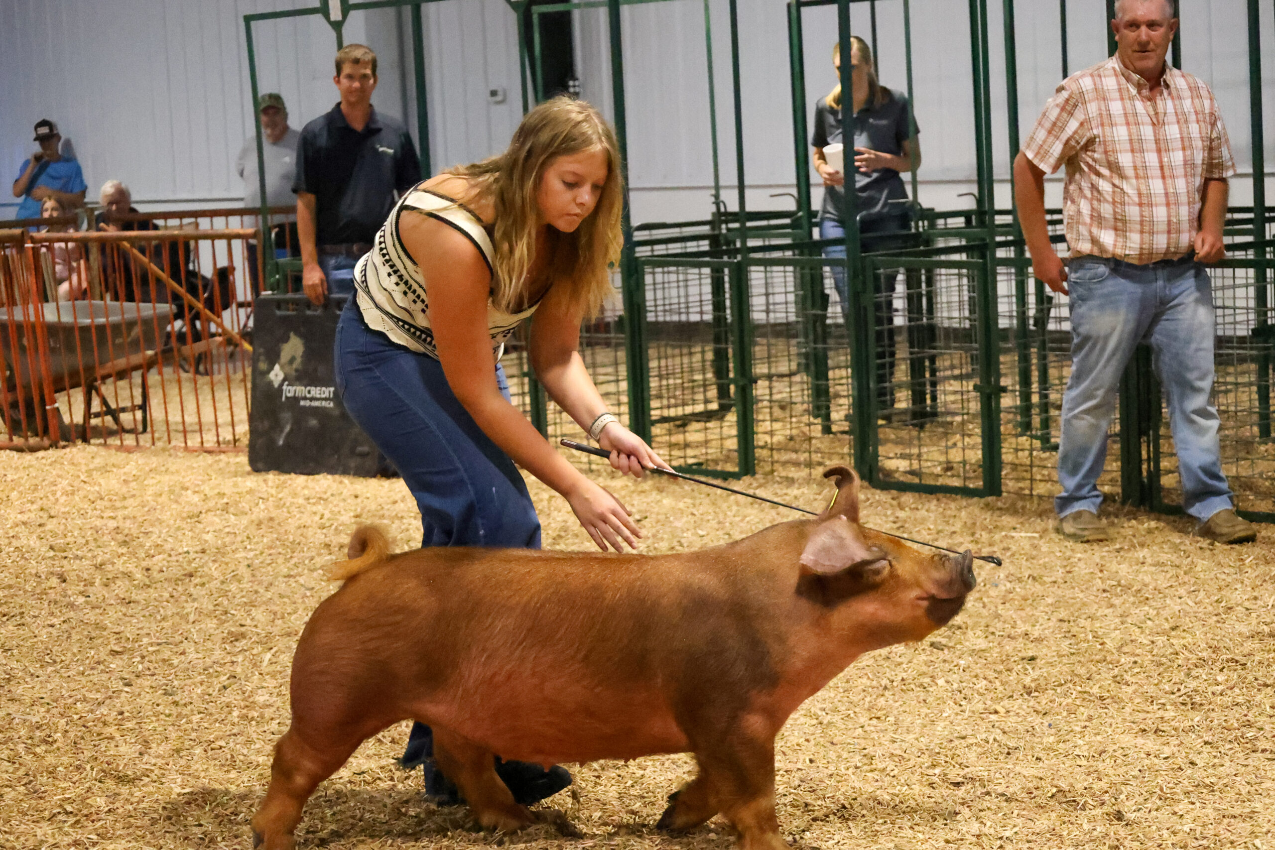 Old Timer's 4-H Swine Show