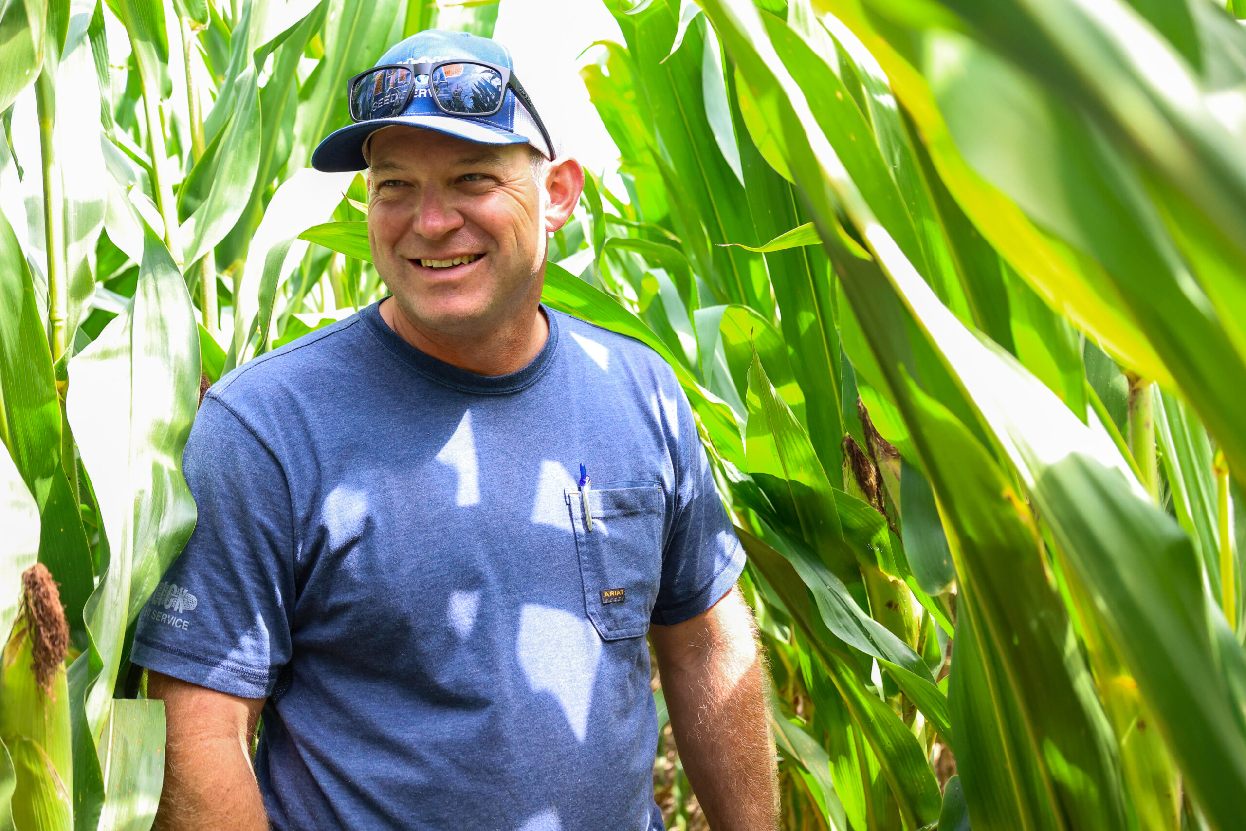 L&M Glick Seed Service